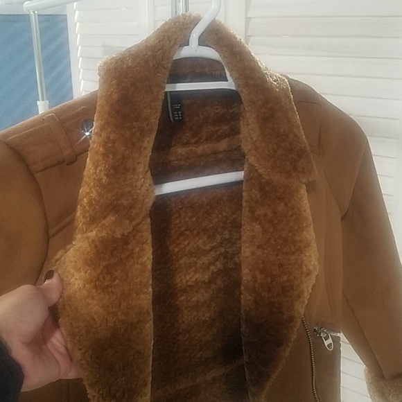 Jacket - Picture 3 of 6